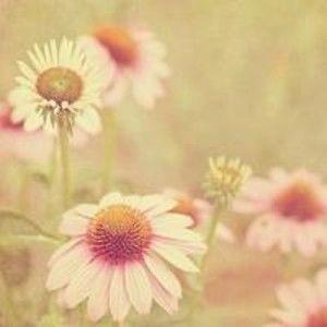 Meet your Posher, Nicholas